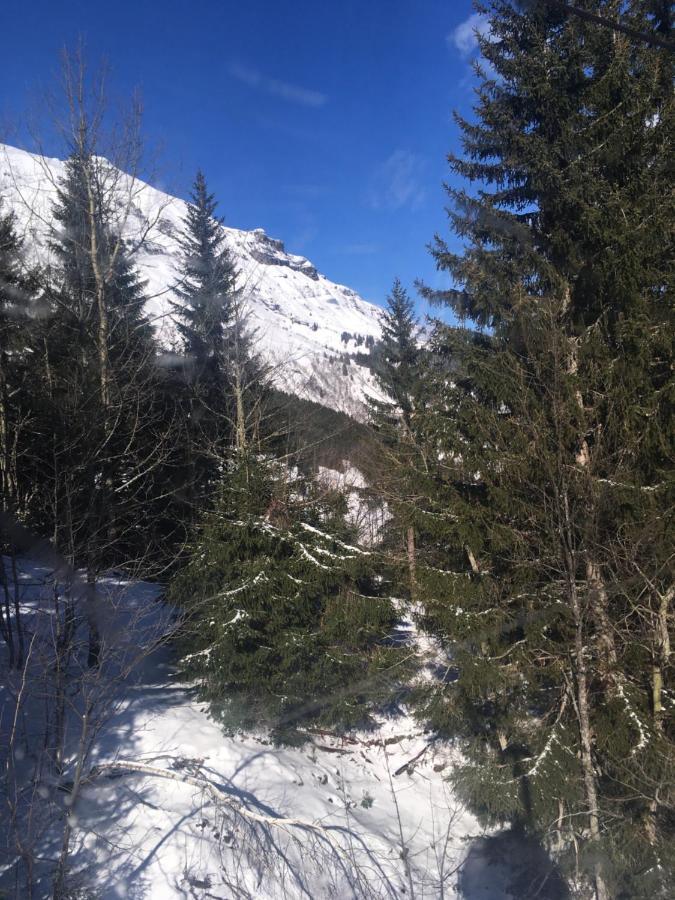 Les Pierres Blanches Mont Blanc Apartman Les Contamines-Montjoie Kültér fotó