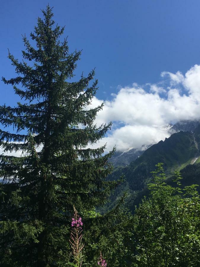 Les Pierres Blanches Mont Blanc Apartman Les Contamines-Montjoie Kültér fotó