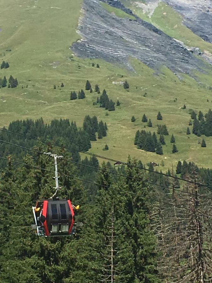 Les Pierres Blanches Mont Blanc Apartman Les Contamines-Montjoie Kültér fotó